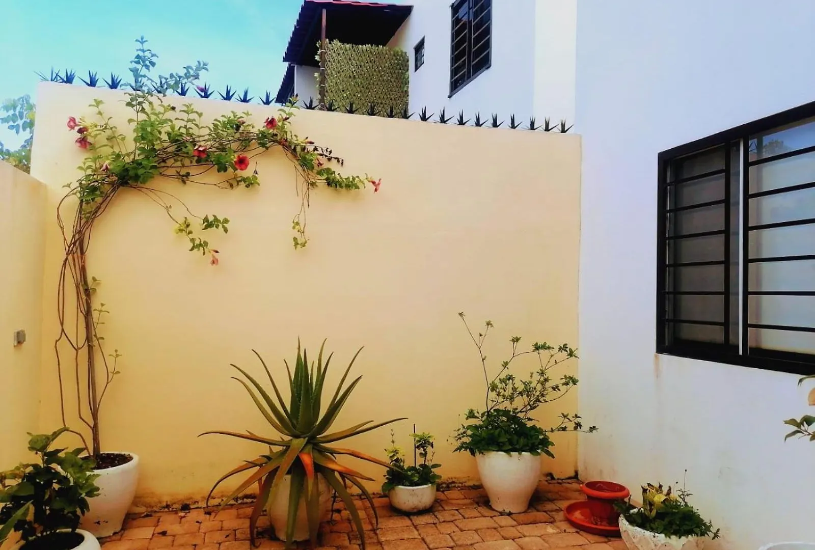 Sophie Apartment Playa del Carmen 0*,